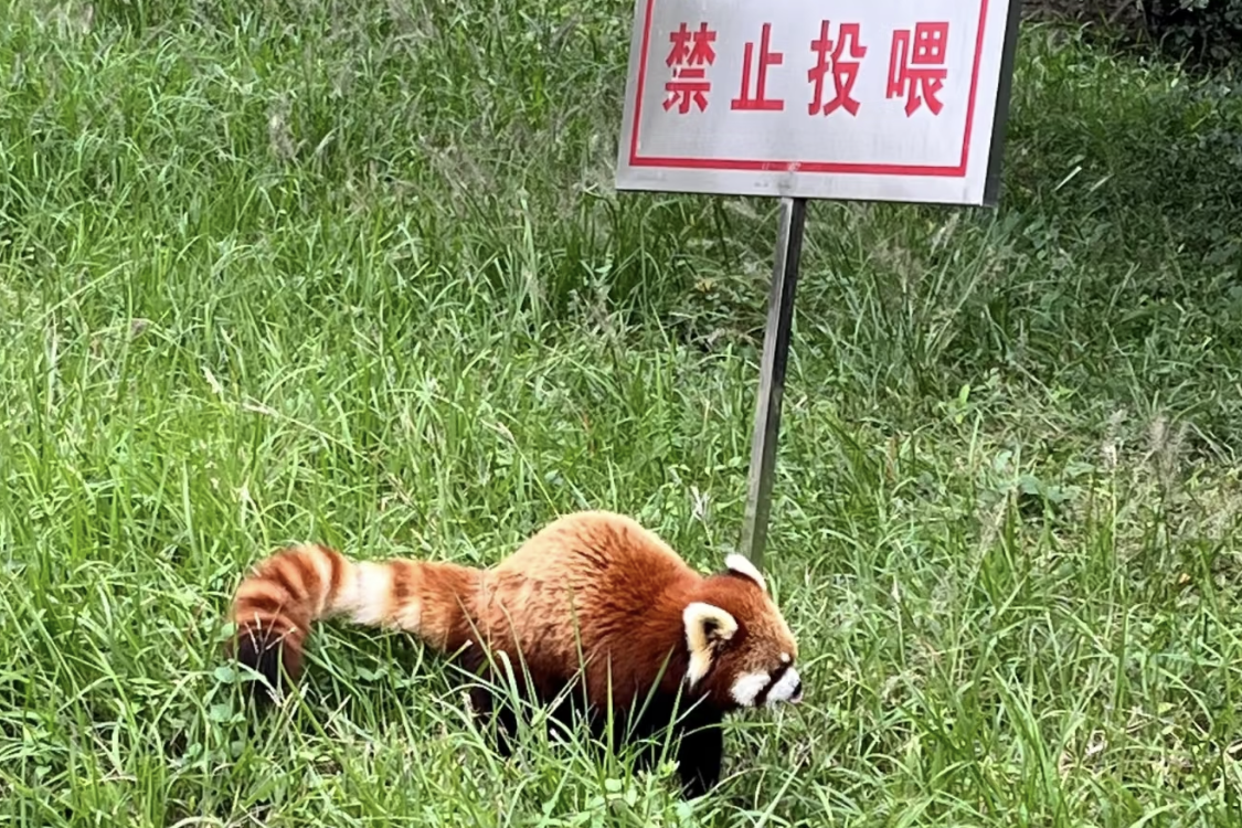 Wild Animal Park